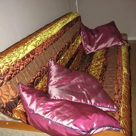 Apartment Aleksandra Caka 65 *
